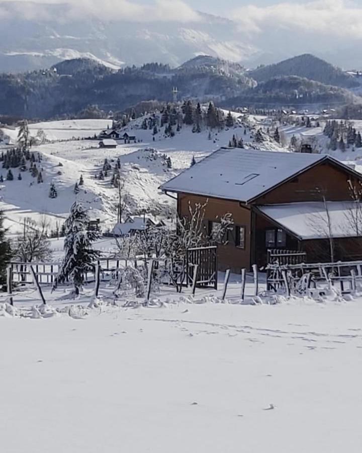 Sirnea Chalet Villa Exterior photo